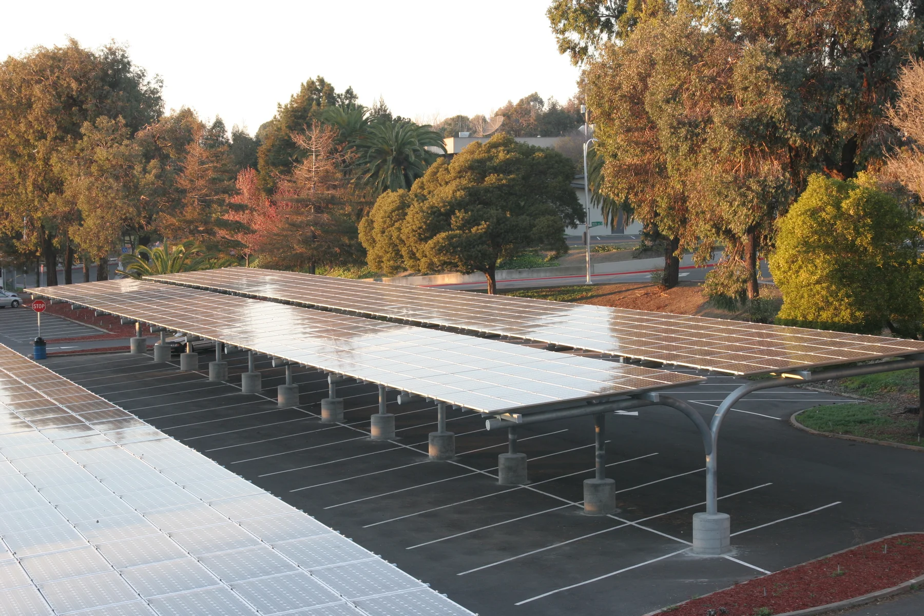 Contra Costa: custom canopy