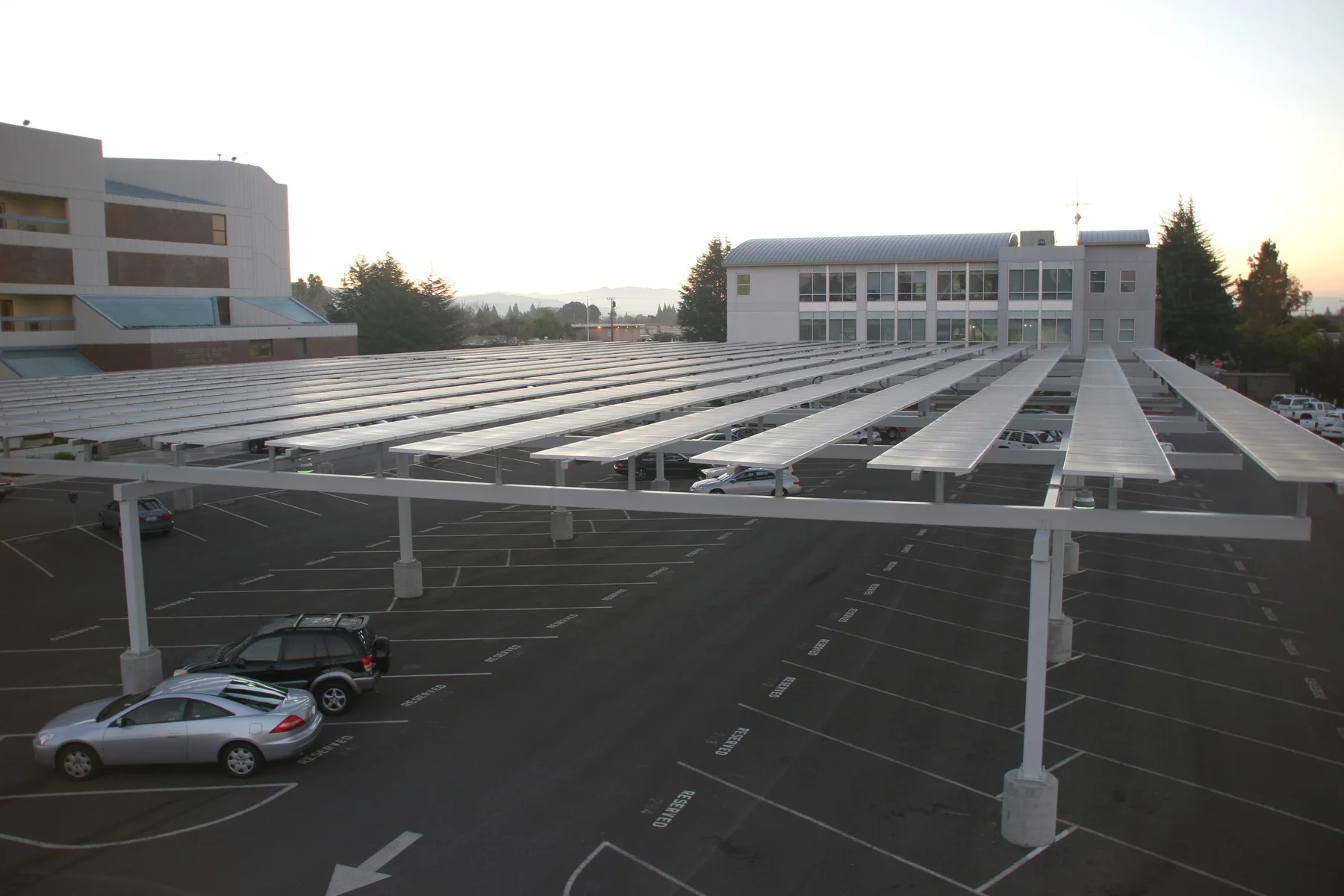 Hayward: custom canopy