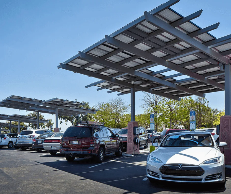 San Diego Zoo: custom solar structures