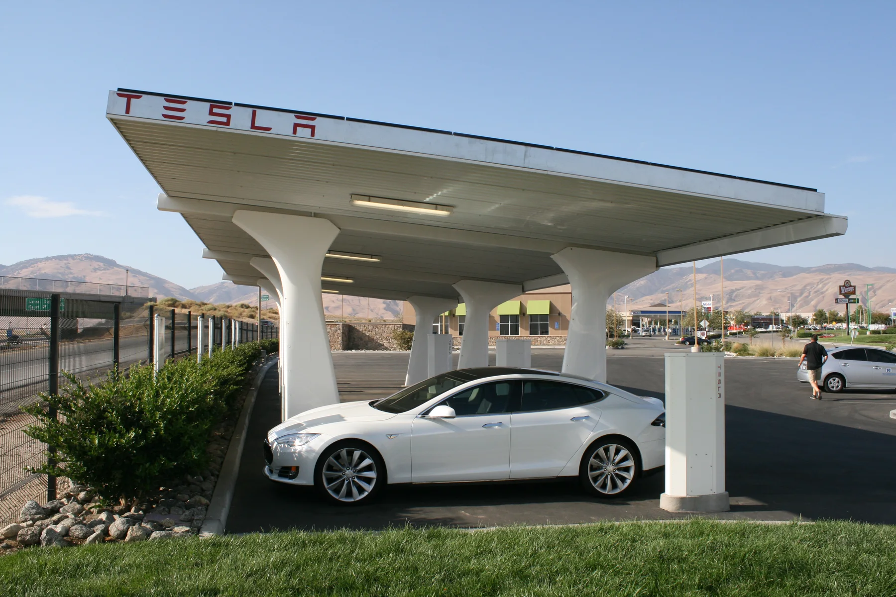 Tesla: custom canopy